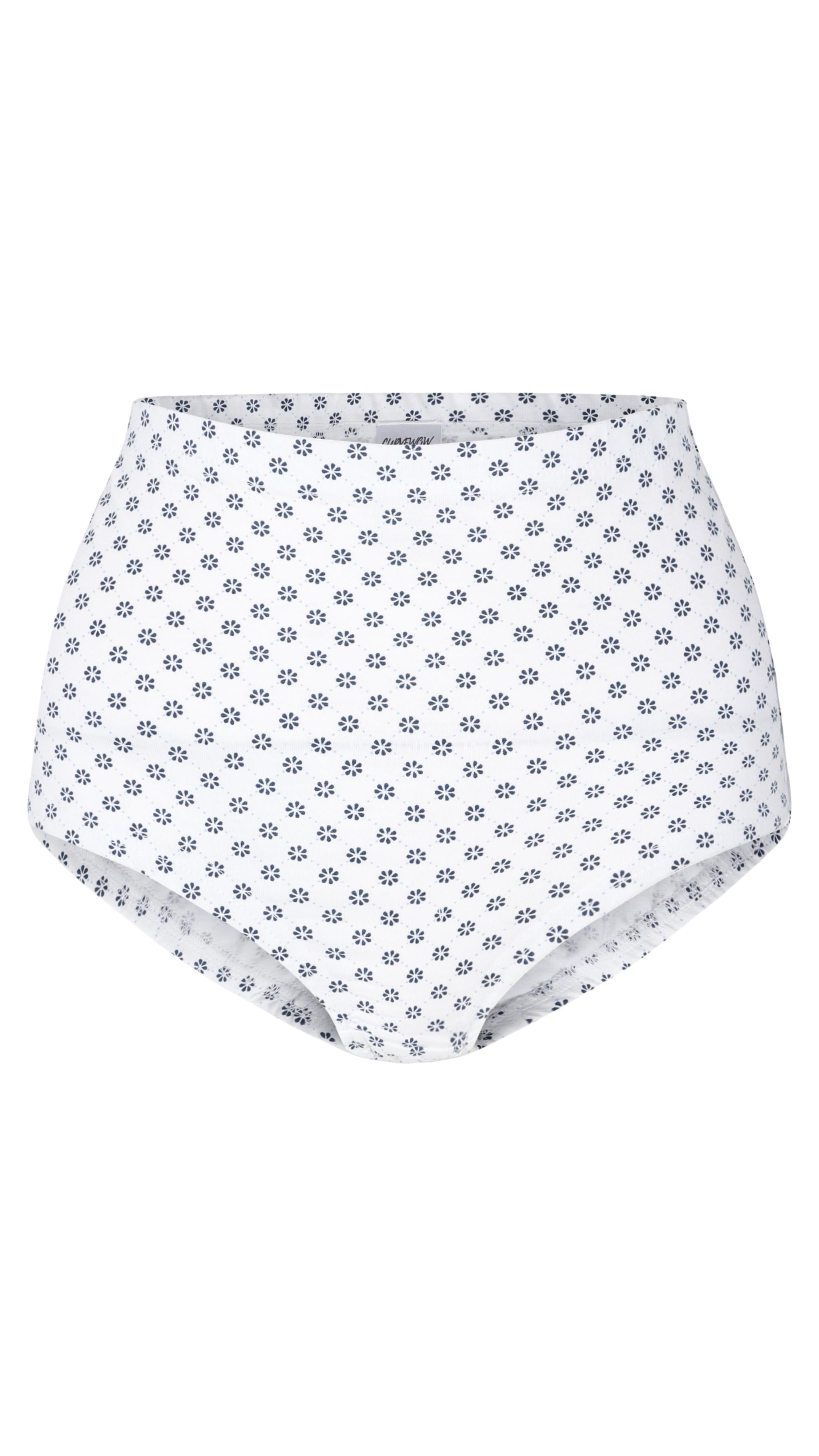CurveWow 3 Pack Full Cotton Brief Blue/White