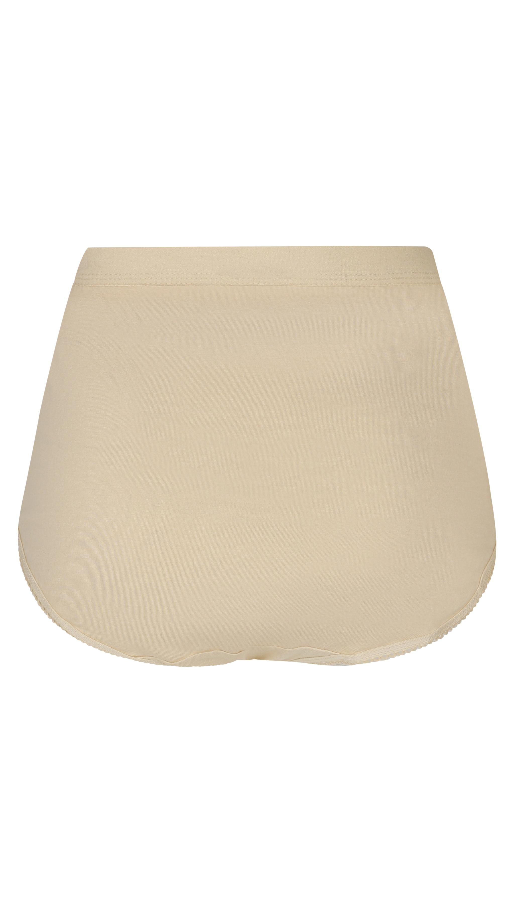 CurveWow 5 Pack Full Cotton Brief Nude