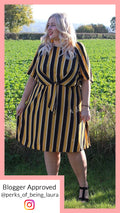 Rita Mustard Stripe Dress With Knot Front